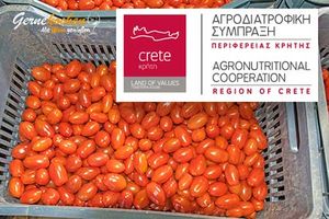 Kretische Tomaten | GRETE – GREAT VEG OF CRETE